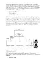 Referāts 'OSI etalonu modelis', 18.