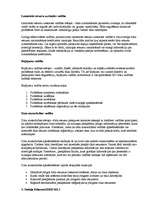 Referāts 'OSI etalonu modelis', 20.