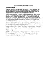 Referāts 'OSI etalonu modelis', 24.