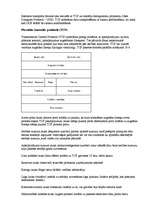 Referāts 'OSI etalonu modelis', 33.