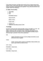 Referāts 'OSI etalonu modelis', 40.