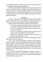 Referāts 'Jēkabpils 3.vidusskola', 9.