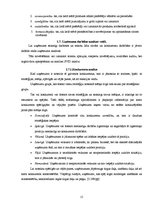 Referāts 'Jēkabpils 3.vidusskola', 15.