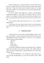 Referāts 'Akciju sabiedrības "Madara Cosmetics" tirgus izpēte', 7.