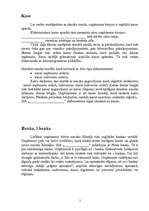 Prakses atskaite 'Prakses atskaite grāmatvedībā', 7.