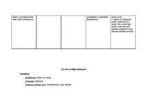 Prakses atskaite 'Prakses atskaite', 10.