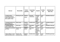 Prakses atskaite 'Prakses atskaite', 14.