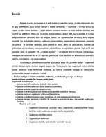 Prakses atskaite 'Kvalifikācijas prakse IK "Svitenes aptieka"', 3.