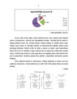 Prakses atskaite 'Kvalifikācijas prakse IK "Svitenes aptieka"', 8.