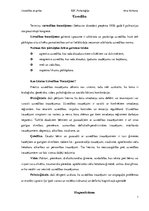 Prezentācija 'Uzvedība un griba', 23.