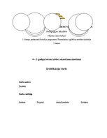 Diplomdarbs '4 - 5 gadīgu bērnu iztēles sekmēšana zīmēšanā', 1.