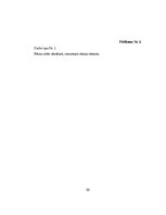 Diplomdarbs '4 - 5 gadīgu bērnu iztēles sekmēšana zīmēšanā', 52.