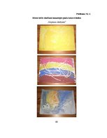 Diplomdarbs '4 - 5 gadīgu bērnu iztēles sekmēšana zīmēšanā', 60.