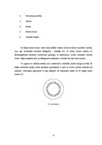 Diplomdarbs 'Palaišanas procesu novērtējums asinhronajam dzinējam, darbojoties ar laidenās pa', 11.