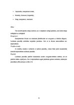 Diplomdarbs 'Palaišanas procesu novērtējums asinhronajam dzinējam, darbojoties ar laidenās pa', 39.