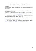 Eseja 'Alternatīvo strīdu risināšanas iespējas policijas darbā', 5.