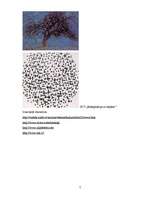 Konspekts 'Abstrakcionisms', 7.