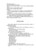 Referāts 'Valsts jēdziens, būtība un pazīmes', 4.