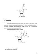 Referāts 'Kodolmagnētiskās rezonanses pētījumi starp ribonukleīnskābju monomēru standarta ', 17.
