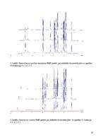 Referāts 'Kodolmagnētiskās rezonanses pētījumi starp ribonukleīnskābju monomēru standarta ', 23.