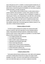 Referāts 'Gadījuma pētījumi', 5.
