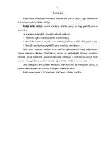 Referāts 'Investīciju klasifikācija un dinamikas analīze Latvijā', 3.