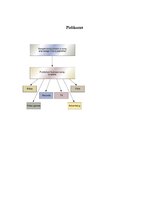 Referāts 'Mūzikas izdevniecības nozīme mūzikas autoru karjeras veicināšanā', 12.