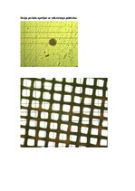 Paraugs 'Optiskās filtrēšanas pamatprincipi: Abbes-Portera eksperiments', 5.