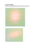 Paraugs 'Optiskās filtrēšanas pamatprincipi: Abbes-Portera eksperiments', 6.