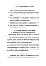 Referāts 'Uzņēmuma finanšu pārskata analīze', 4.