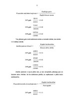 Referāts 'Uzņēmuma finanšu pārskata analīze', 11.