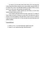 Eseja 'Par ko ir runa Kanta "Tīrā prāta kritikā"?', 2.