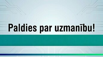 Prezentācija 'Kļūdas grāmatvedības uzskaitē un to labošana Latvijā', 13.