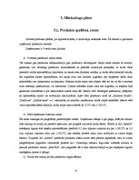 Biznesa plāns 'Mūzikas kluba biznesa plāns', 14.