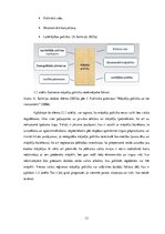 Diplomdarbs 'Mājokļa pieejamības veicināšanas iespējas Latvijas iedzīvotājiem', 13.