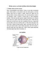 Konspekts 'Krāsu uztvere un krāsu kodēšana datortehnoloģijās', 1.