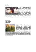 Referāts 'Stepju raksturojums, ģeogrāfiskais stāvoklis, klimats', 14.