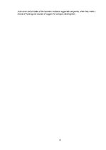 Diplomdarbs 'Latvijas biznesa inkubatoru darbības izpēte un pilnveidošanas iespējas', 6.