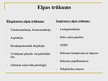 Prezentācija 'Recidivējošās un hroniskās obstruktīvās elpceļu slimības bērniem. Akūta elpošan', 4.