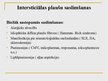 Prezentācija 'Recidivējošās un hroniskās obstruktīvās elpceļu slimības bērniem. Akūta elpošan', 27.