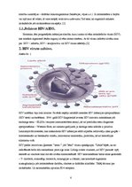 Referāts 'HIV un AIDS', 6.