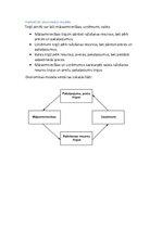 Konspekts 'Tirgus dalībnieki, vienkāršots tirgus modelis, tirgus veidi, konkurence un tās v', 4.