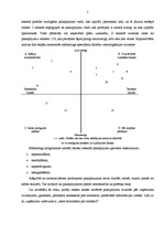 Biznesa plāns 'Mārketings, tirgus izpēte', 5.
