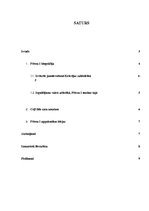 Referāts 'Pēteris Pirmais', 2.