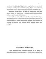 Referāts 'Uzņēmējdarbības ekonomika', 17.