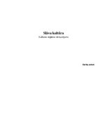 Konspekts 'Slāvu kultūras reģions', 1.