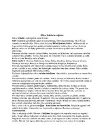 Konspekts 'Slāvu kultūras reģions', 2.