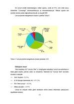 Referāts 'Baltijas valstu enerģijas ieguves un patēriņa iespējas', 13.