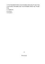 Referāts 'Baltijas valstu enerģijas ieguves un patēriņa iespējas', 19.