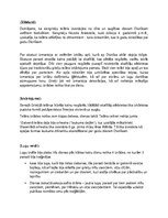 Prezentācija 'Senās Grieķijas teātris', 7.